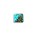 Turquoise/Ferozah فیروزہ (Iran) 17.84 cts